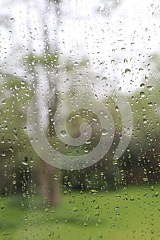 window pane with focus on raindrops and blurry view of greenery photo