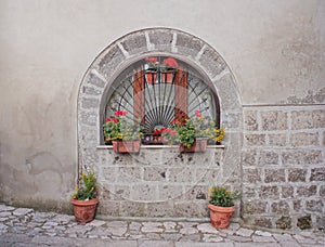 Window with plants and flowers