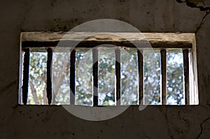 Window of a Prison Cell from Inside, Trees Outside