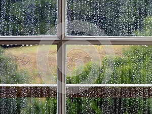 Window with Rain Drops