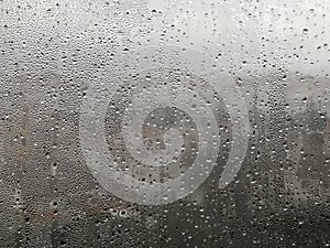 The window and the rain photo