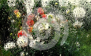 Window.Rain water drop with background blur.