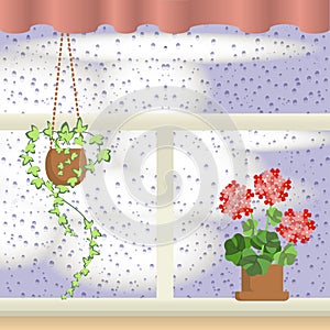 Window with Raindrops