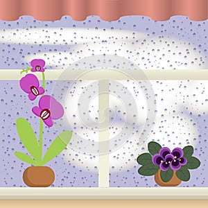 Window with Raindrops