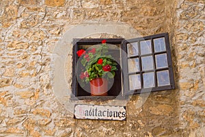 Window and red flowers photo