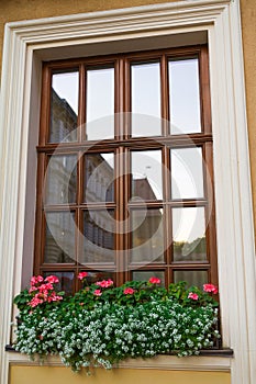 Window and red flowers on the window-sill