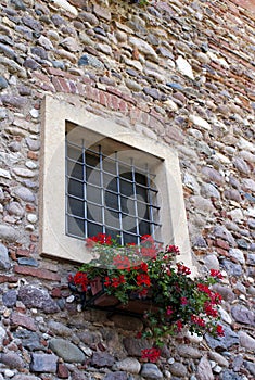 Window and red geraniums