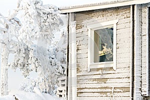 Window with reflection tree branches covered with snow, winter landscape