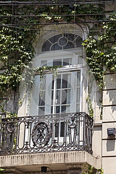 window of residential building with plants. Buenos Aires, Argentina