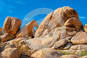 Window Rock in Joshua Tree