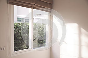 Window with roll blinds