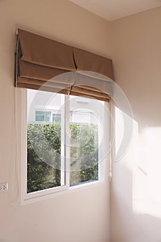 Window with roll blinds