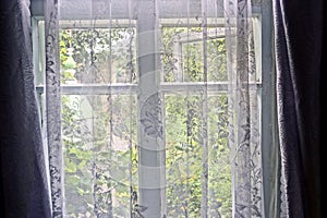 The window in the room is covered with a transparent curtain