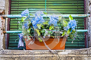 Window of a ruining house with green shutter and flower