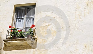 A window of a ruining house with Rose flower in Granada, Andalusia, Spain