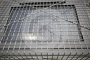 Window security mesh
