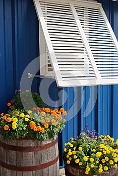 Window shutter and flowers