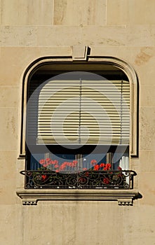 Window, shutters, flowerbox