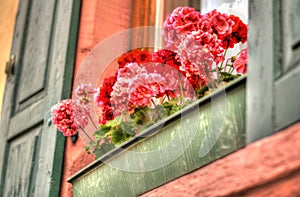 Window sill flower box photo