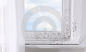 Window, sill and slope affected with mold in room