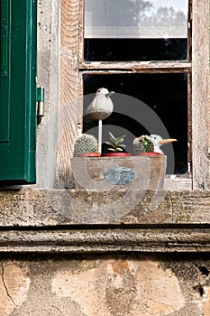 Window sill Tuscan farmhouse