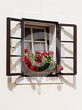 A window of a small family house, with open exterior window glass frames, decorated with red geraniums