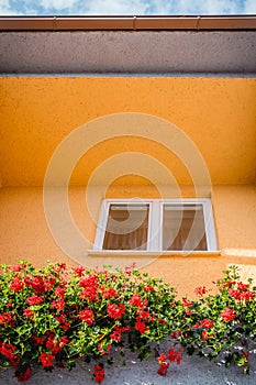 Window surrounded with yellow walls and flowers.