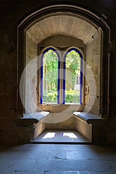 Window to the garden