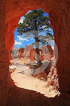 Window to the Hoodoos at Bryce Canyon