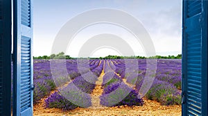 Window to lavender field