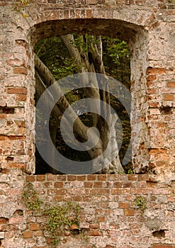 Window of Trojborg castle ruin near Tonder, Denmark