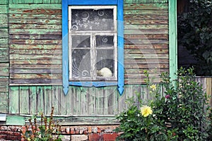 Window with Tulle and Cat in Old Village House