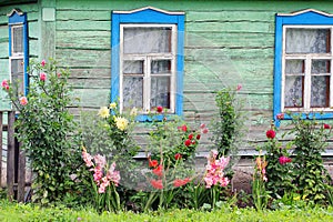 Window with Tulle in Old Village House