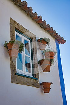 Window Vases