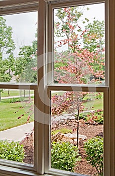 Window View of Front Yard