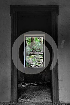 Window view to nature scene