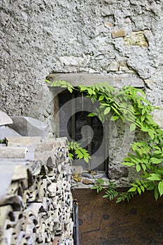 Window and Wall of an Old Stone Cottage House with green plants