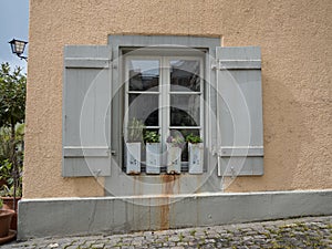 Window with weird plant pots