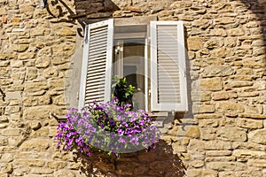 window with white shutters and purple petunias