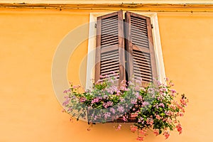 window with wooden shutters and geraniums