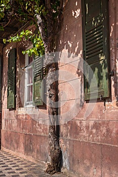 Window with a wooden shutters