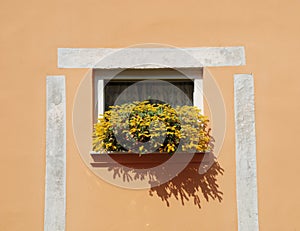 Windowbox in Izola photo