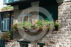 France Paris Windowboxes with flowers  841217