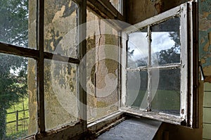 Windows of abandoned monastry