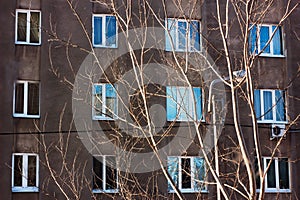 Windows and branches