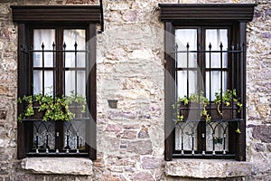 Windows with decorated bars