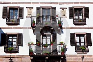 Windows in Elizondo