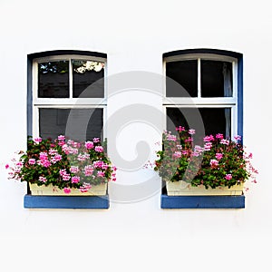 Windows with flowers