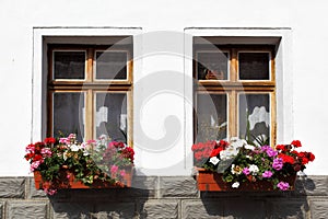Windows with flowers