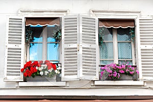 Windows with flowers on Montmartre street